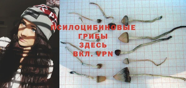 хмурый Алексеевка