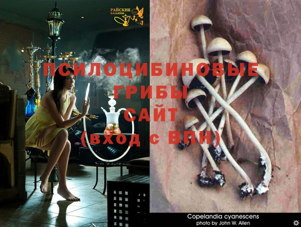 альфа пвп VHQ Алзамай