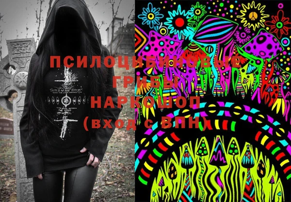 хмурый Алексеевка