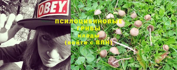 хмурый Алексеевка