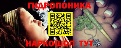 шишки Волжск