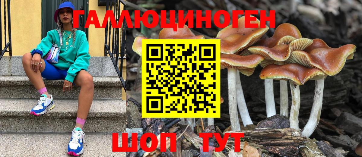 Псилоцибиновые грибы Magic Shrooms Кимры